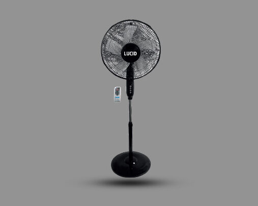 Fans