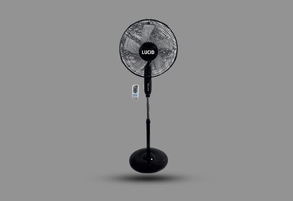 Fans